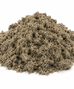Sand Dina