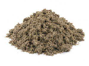 Sand Dina